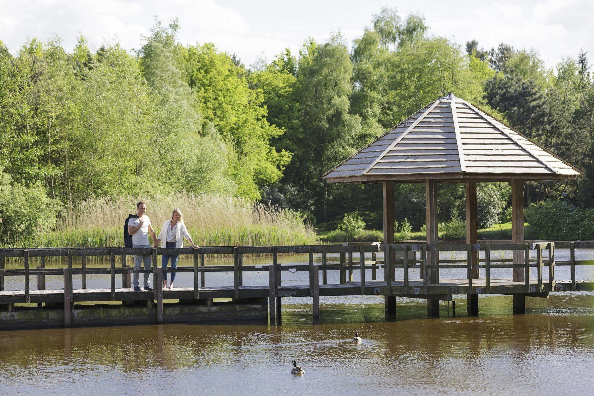 Center Parcs Limburgse Peel Limburg-Brabant Holiday park America