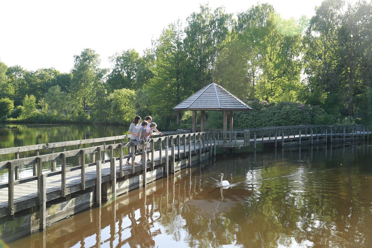 Holiday park Center Parcs Limburgse Peel Limburg-Brabant 3*